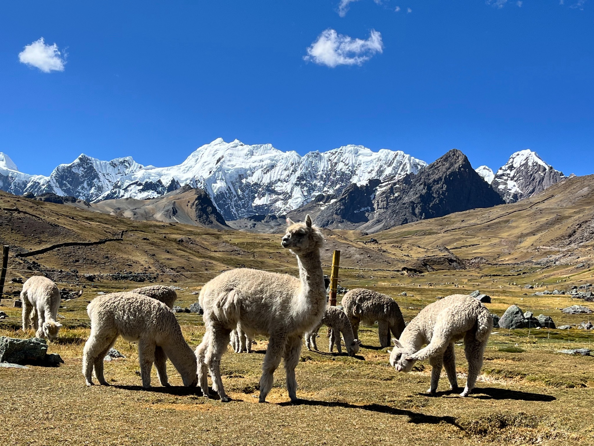 Ausangate, Peru