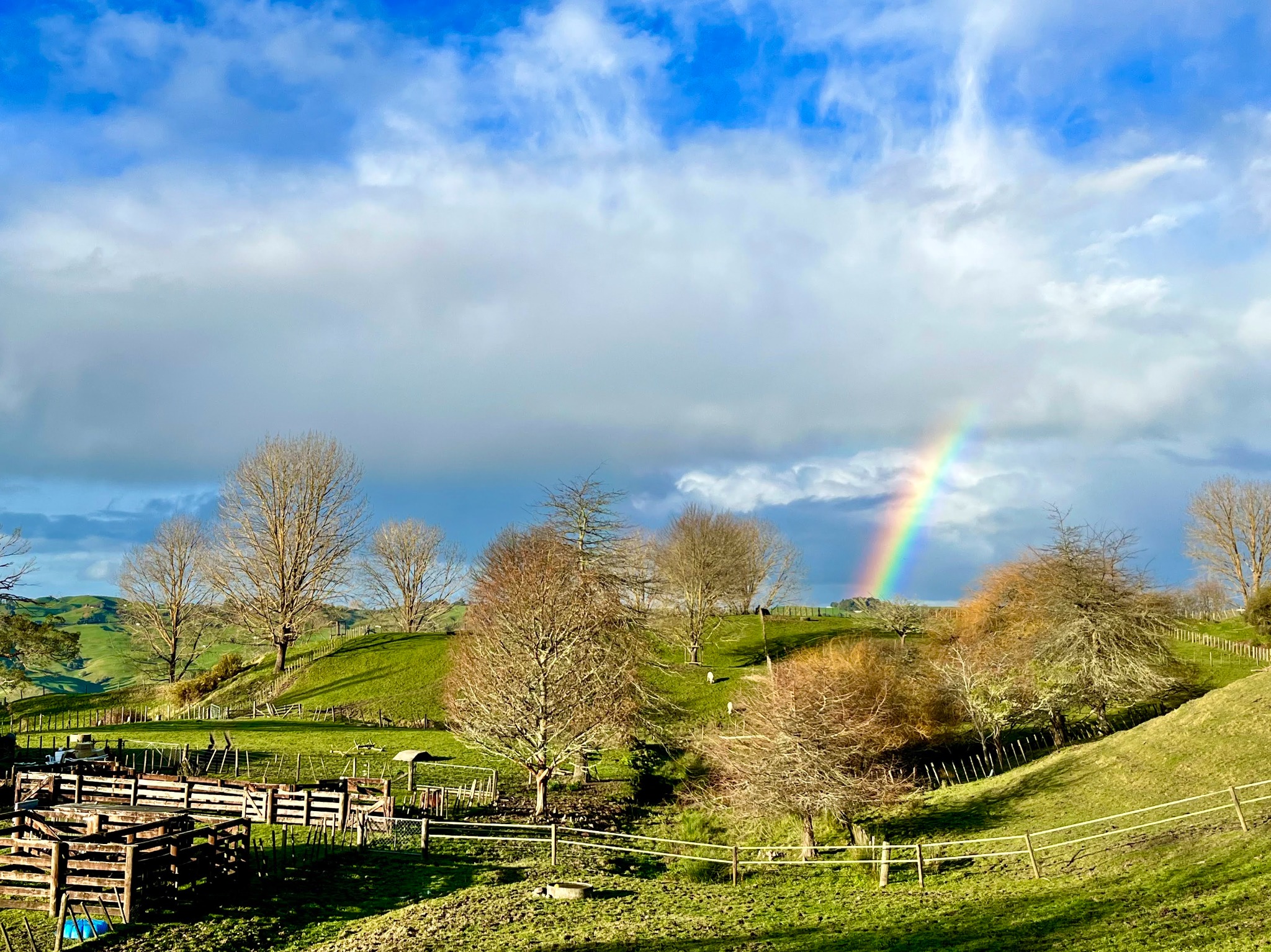 Waitomo, New Zealand